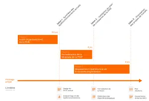 audit organisationnel gantt 11750