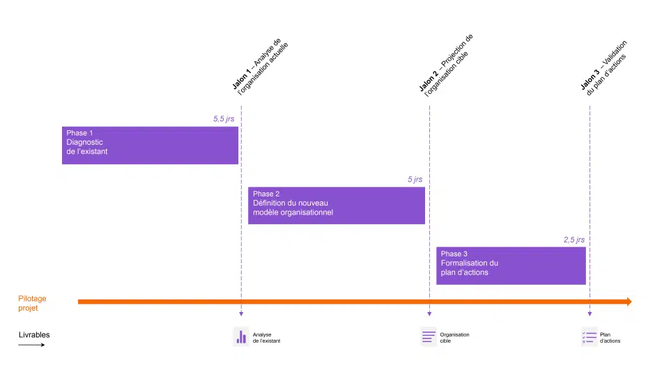 Diagnostic Organisationnel - 11489 - Gantt