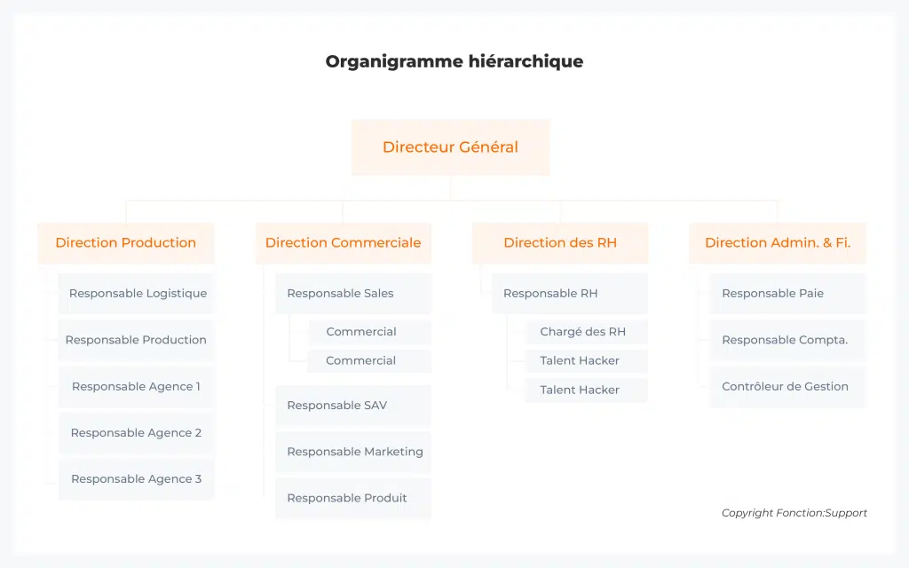 organigramme entreprise hierarchique