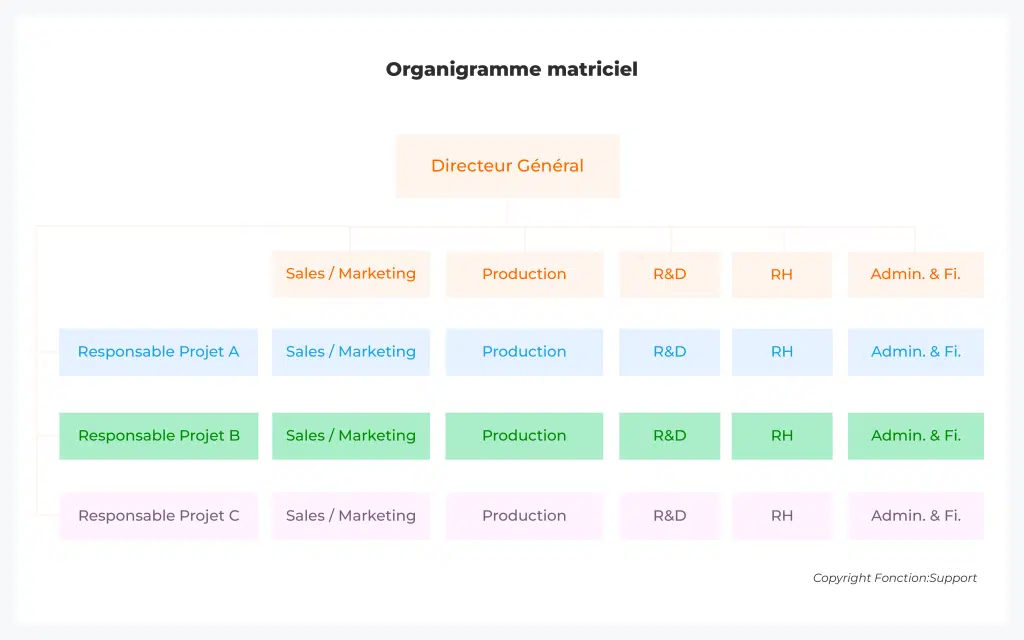 organigramme entreprise matriciel